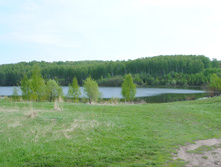 DSC_0010.jpg