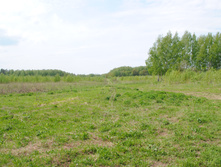 DSC_0029.jpg