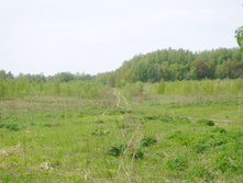 DSC_0030.jpg
