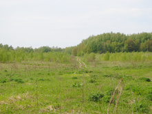 DSC_0031.jpg