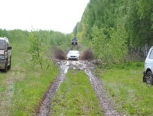 DSC_0036.jpg