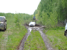 DSC_0037.jpg