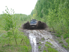 DSC_0054.jpg