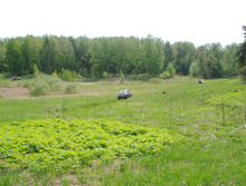 DSC_0068.jpg