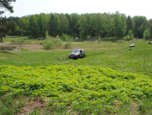 DSC_0071.jpg