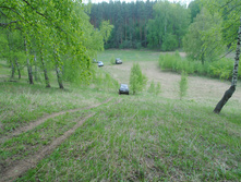 DSC_0095.jpg
