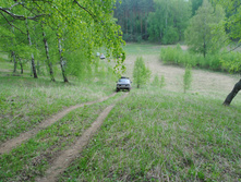DSC_0113.jpg