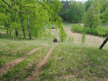 DSC_0130.jpg