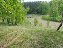 DSC_0131.jpg