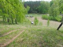 DSC_0132.jpg