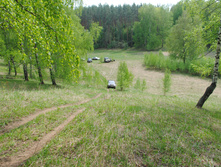 DSC_0133.jpg