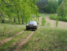 DSC_0137.jpg