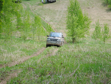 DSC_0151.jpg