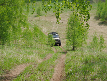 DSC_0166.jpg