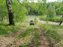 DSC_0170.jpg