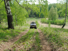 DSC_0172.jpg
