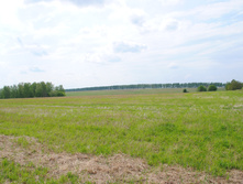 DSC_0186.jpg