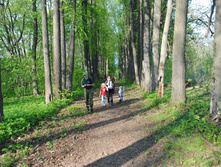 DSC_0215.jpg