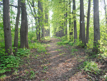 DSC_0217.jpg
