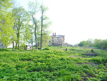 DSC_0228.jpg
