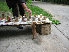 21.04.2009 8:26:34