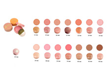BOURJOIS  ������ Pastel Joues re-pack.