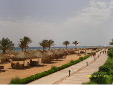 22.04.2009 11:28:58