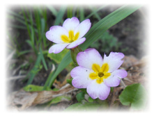 DSCN2648.JPG