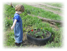 DSCN2656.JPG