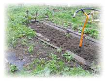 DSCN2678.JPG