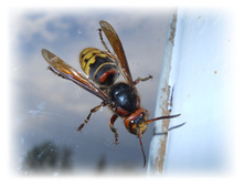 DSCN2686.JPG