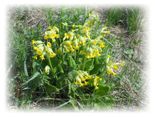 DSCN2725.JPG