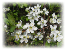 DSCN2737.JPG
