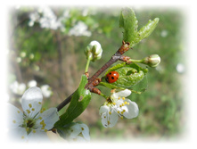 DSCN2738.JPG