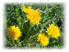 DSCN2749.JPG