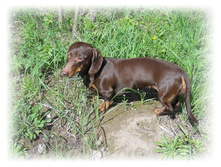 DSCN2751.JPG