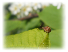 DSCN2755.JPG