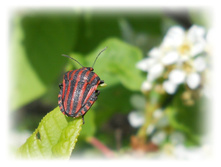 DSCN2764.JPG