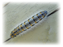 DSCN2789.JPG
