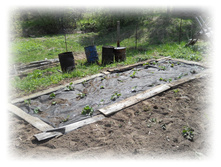 DSCN2799.JPG