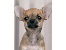 06.12.2011 22:53:29