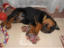DSCN0653.JPG