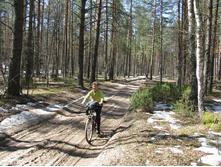 Lenulka