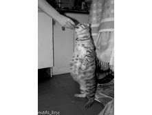 29.04.2009 8:44:30