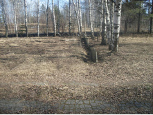 29.04.2009 22:23:28