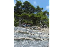 29.09.2010 0:51:36