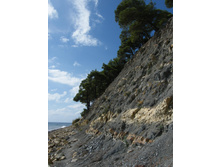 29.09.2010 0:51:55