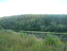 P1230525.JPG