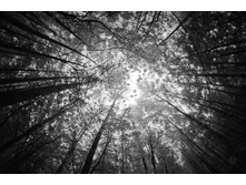 30.09.2010 2:14:12