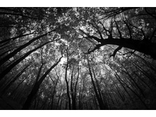 30.09.2010 2:14:14